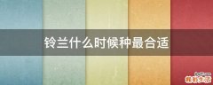 铃兰什么时候种最合适