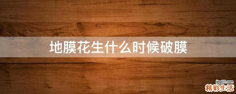 地膜花生什么时候破膜