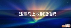 一违章马上收到短信吗