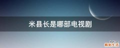 米县长是哪部电视剧