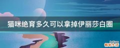 猫咪绝育多久可以拿掉伊丽莎白圈