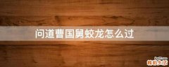 问道曹国舅蛟龙怎么过