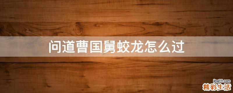问道曹国舅蛟龙怎么过