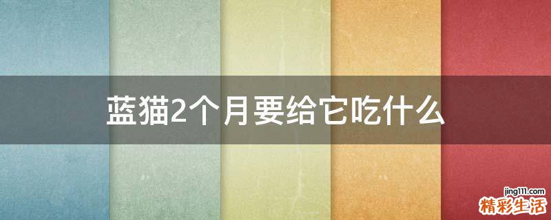 蓝猫2个月要给它吃什么