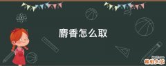 麝香怎么取