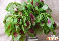 多大宝宝能吃苋菜 宝宝吃苋菜居然有这么多好处
