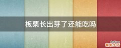 板栗长出芽了还能吃吗