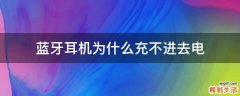 蓝牙耳机为什么充不进去电