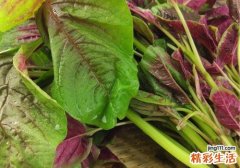 月经期可以吃苋菜吗 经期吃苋菜有什么好处