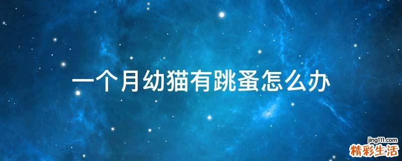 一个月幼猫有跳蚤怎么办