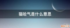 猫哈气是什么意思