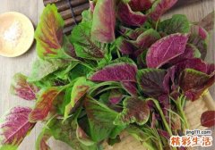 苋菜可以鸡蛋能一起吃吗 苋菜鸡蛋一起吃居然会这样