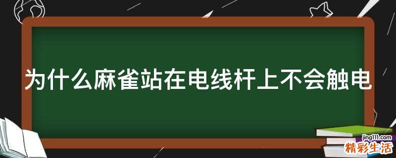 为什么麻雀站在电线杆上不会触电