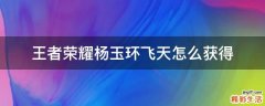 王者荣耀杨玉环飞天怎么获得