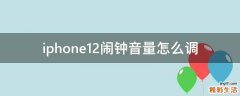 iphone12闹钟音量怎么调