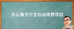 怎么看支付宝自动续费项目
