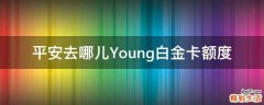 平安去哪儿Young白金卡额度