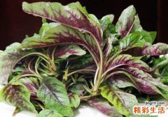 红苋菜孕妇能吃吗
