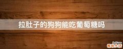拉肚子的狗狗能吃葡萄糖吗
