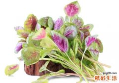 吃苋菜有什么好处 苋菜怎么吃最好