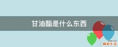 甘油酯是什么东西