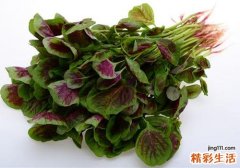 宝宝能吃苋菜吗 宝宝吃苋菜有什么好处