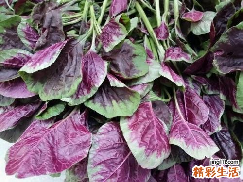 苋菜有什么功效 苋菜家常怎么食用