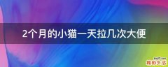 2个月的小猫一天拉几次大便