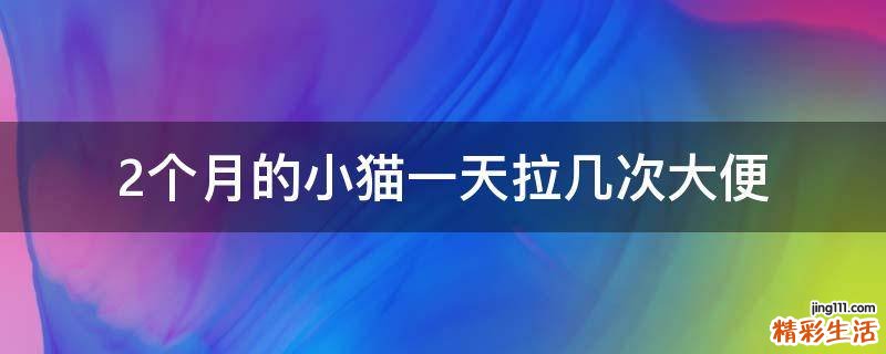 2个月的小猫一天拉几次大便