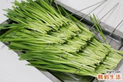 吃韭菜胃难受怎么办
