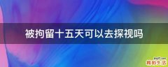 被拘留十五天可以去探视吗