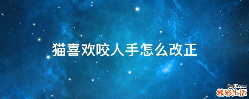 猫喜欢咬人手怎么改正