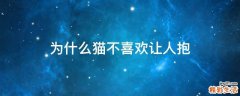 为什么猫不喜欢让人抱