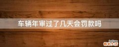 车辆年审过了几天会罚款吗