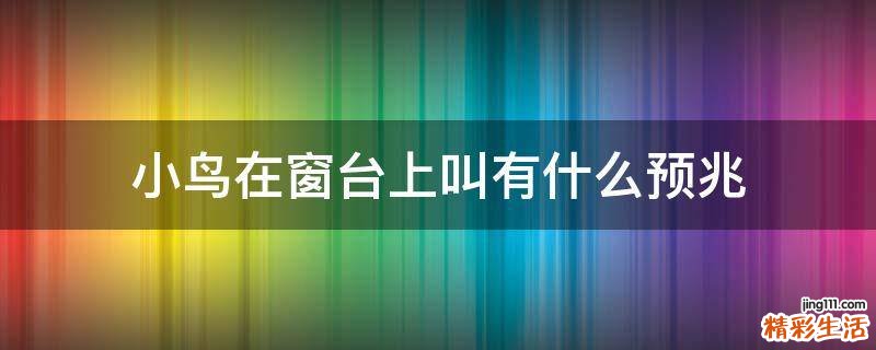 小鸟在窗台上叫有什么预兆