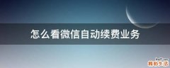 怎么看微信自动续费业务