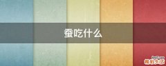 蚕吃什么