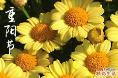 重阳节是为了纪念谁?重阳节是纪念谁的节日