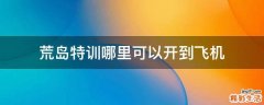 荒岛特训哪里可以开到飞机