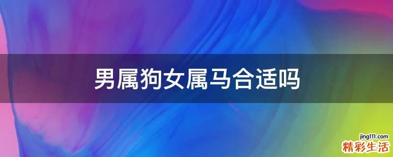 男属狗女属马合适吗