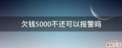 欠钱5000不还可以报警吗