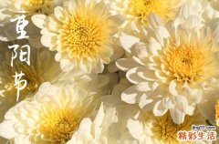 2023年老人节是哪天,2023重阳节是哪一天