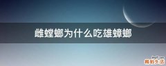 雌螳螂为什么吃雄蟑螂