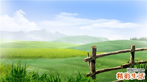 癫痫的植物神经性发作的原因_癫痫的植物神经性发作是怎么引起的