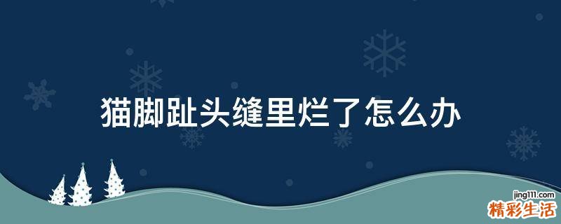 猫脚趾头缝里烂了怎么办