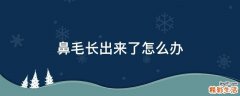 鼻毛长出来了怎么办
