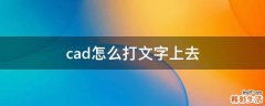 cad怎么打文字上去