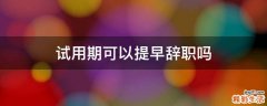 试用期可以提早辞职吗