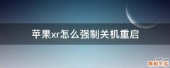 苹果xr怎么强制关机重启