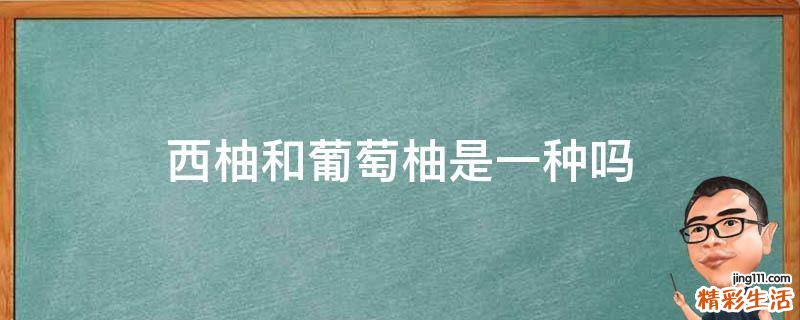 西柚和葡萄柚是一种吗